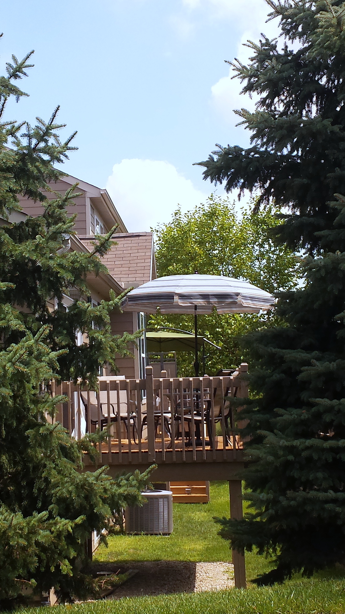 gazebo